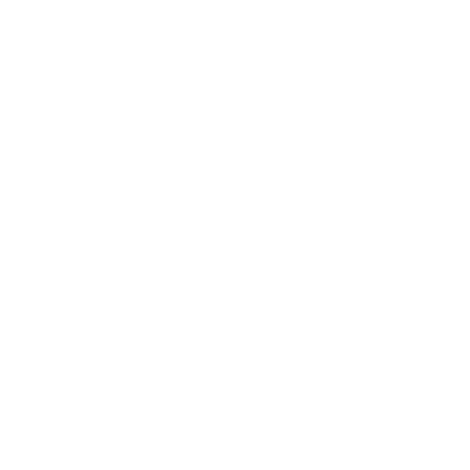 NN Technical Light